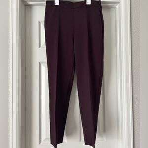 Ankle Length Ann Taylor Pants